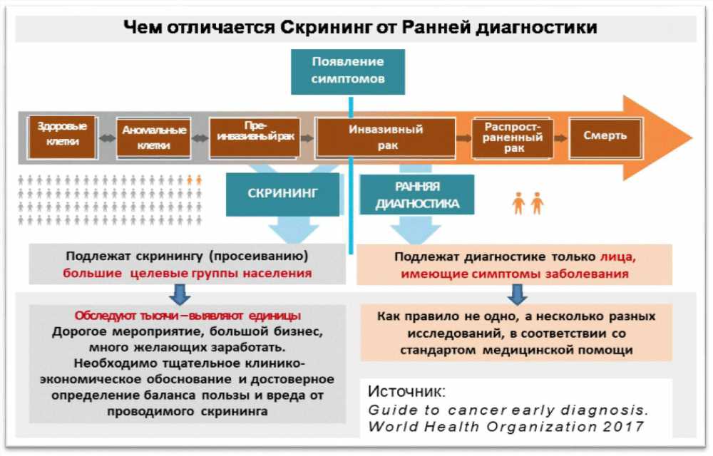 График обязательного посещения невролога: забота о здоровье мозга