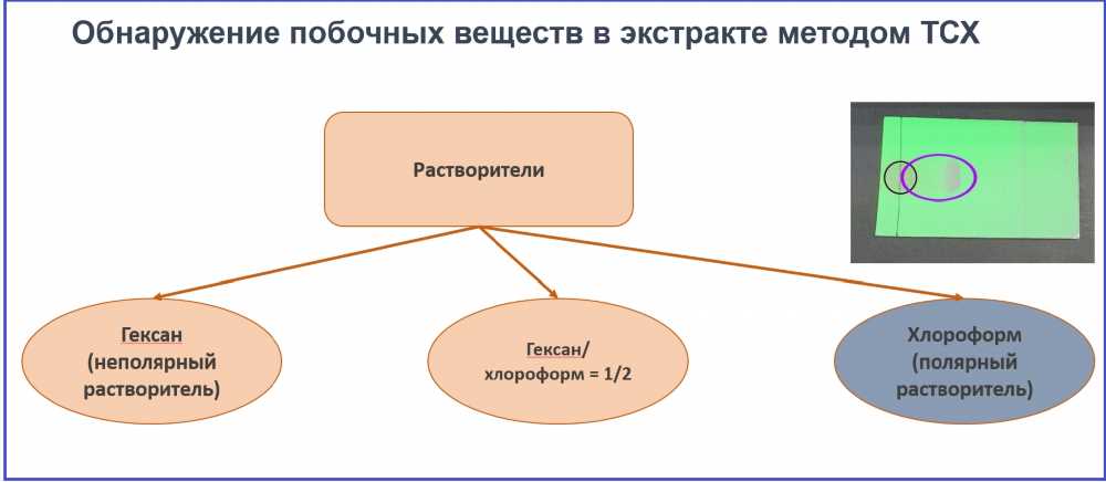 Исследование Всесторонних Преимуществ Чайного Дерева: От Здоровья Кожи до Укрепления Иммунитета