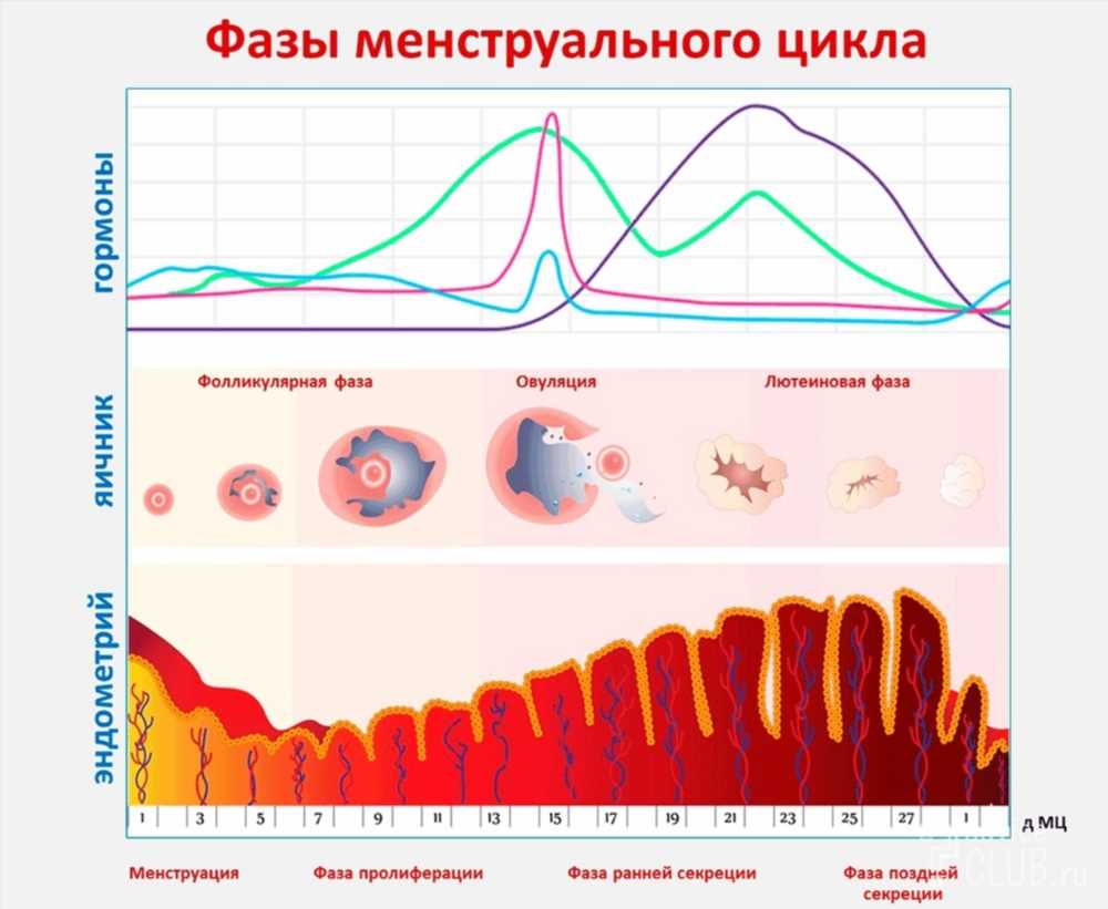 Как помочь девочкам подросткам справиться с выделениями перед началом менструального цикла