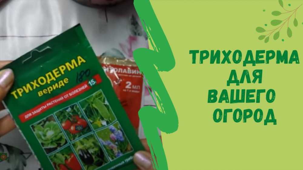 Мир микроорганизмов: Кто бесплатно работает на вашей грядке?