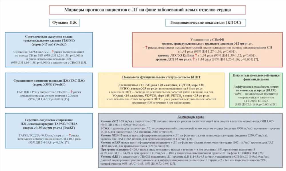 Оптимизация Соотношения Возрастов: Ключевые Моменты и Практические Советы