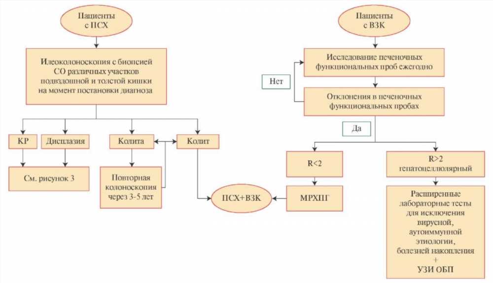 Ориентировочные сроки нетрудоспособности при эндопротезировании сустава коленного: Руководство для пациентов