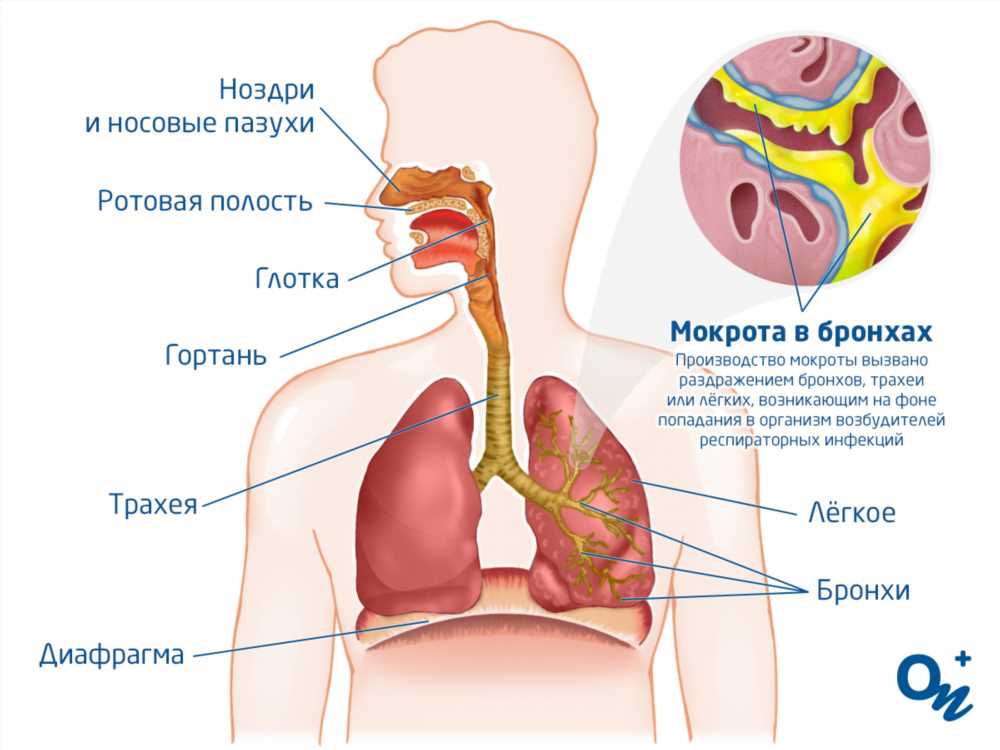 Почему мы кашляем: основные причины и как с ними бороться