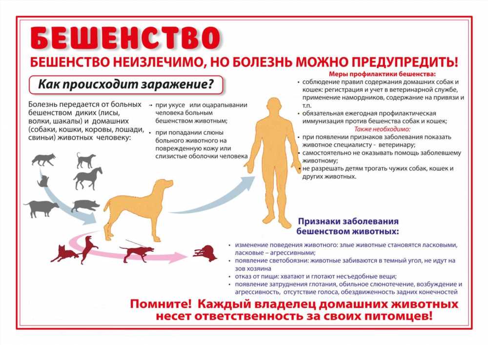 Раковые клетки на поводке: Новый метод борьбы с неуправляемым распространением