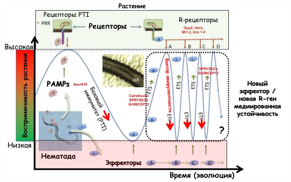 Свободные радикалы: Мощное Биологическое Оружие и Информационная Система Клеток