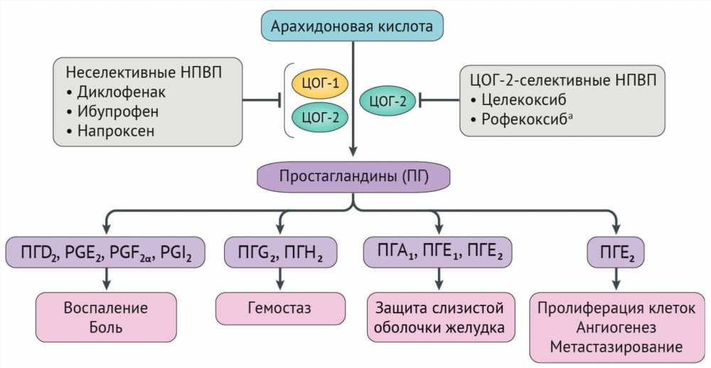 Влияние действующего вещества и механизма действия на эффективность препарата: Разбор ключевых аспектов