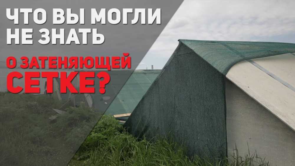 Затеняющая сетка для огорода: все, что вам нужно знать о выборе, видах и преимуществах